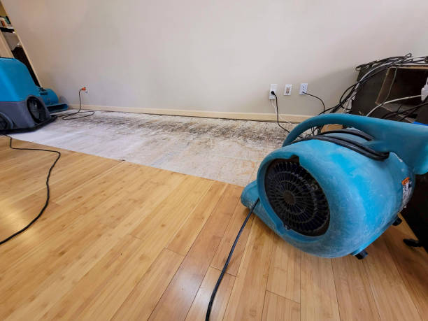 Professional Basement Flood Cleanup technician working in Croswell, MI